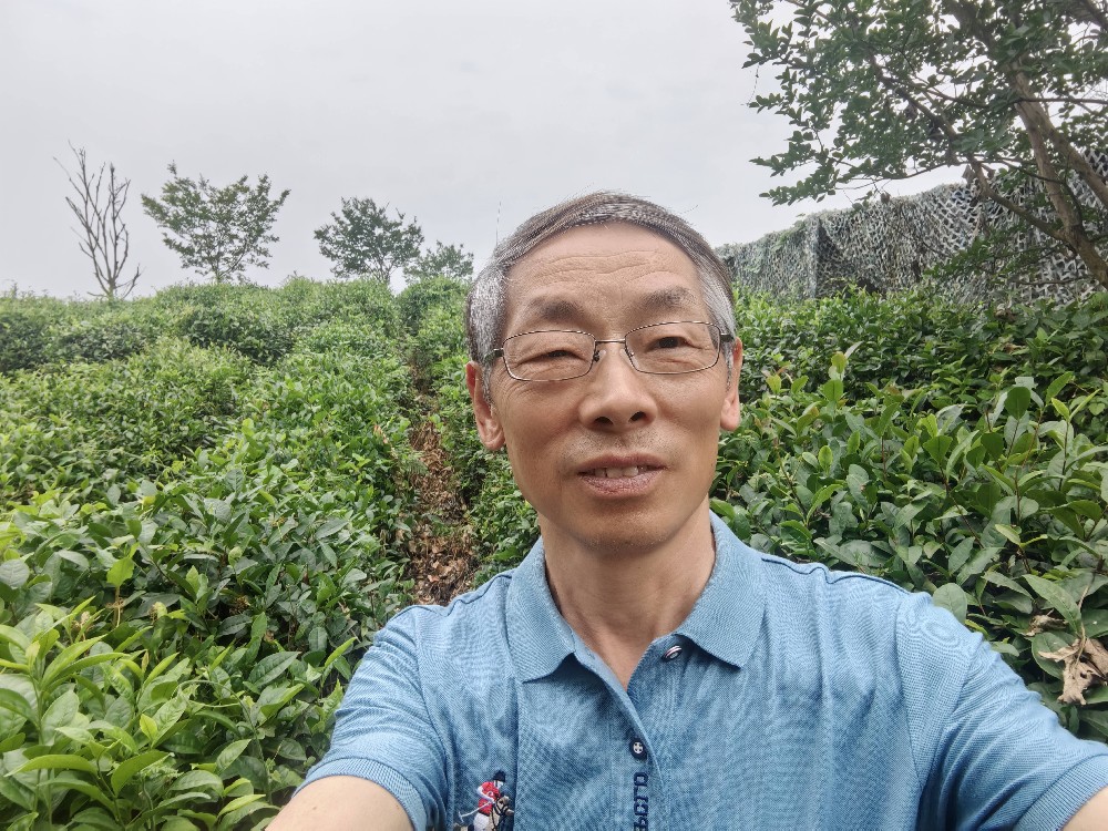 四川省科技助力乡村振兴促进会会长陈文宽在青城道茶观光园调研省级龙头企业